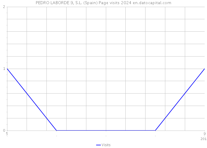 PEDRO LABORDE 9, S.L. (Spain) Page visits 2024 