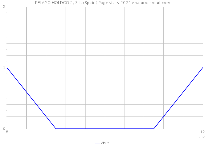 PELAYO HOLDCO 2, S.L. (Spain) Page visits 2024 