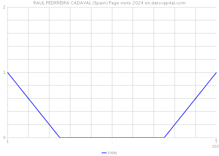 RAUL PEDRREIRA CADAVAL (Spain) Page visits 2024 
