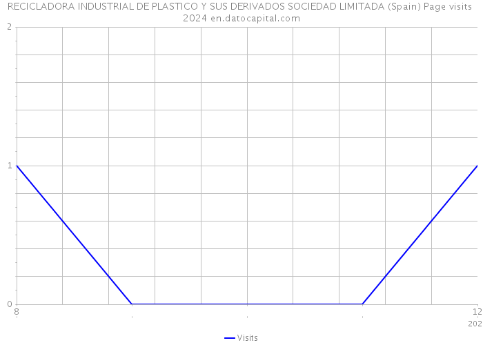 RECICLADORA INDUSTRIAL DE PLASTICO Y SUS DERIVADOS SOCIEDAD LIMITADA (Spain) Page visits 2024 