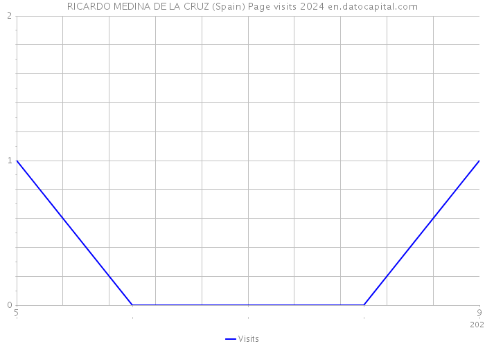 RICARDO MEDINA DE LA CRUZ (Spain) Page visits 2024 