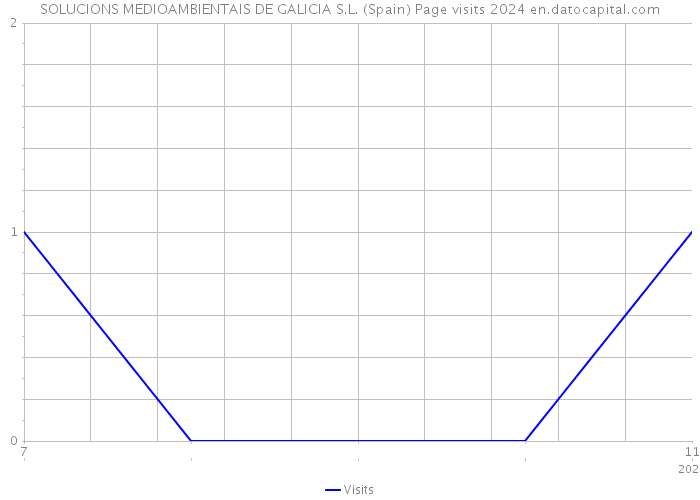 SOLUCIONS MEDIOAMBIENTAIS DE GALICIA S.L. (Spain) Page visits 2024 