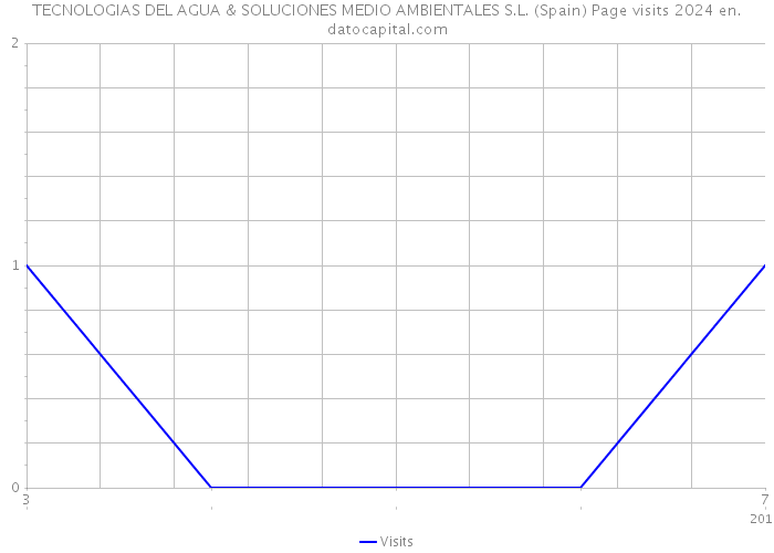 TECNOLOGIAS DEL AGUA & SOLUCIONES MEDIO AMBIENTALES S.L. (Spain) Page visits 2024 