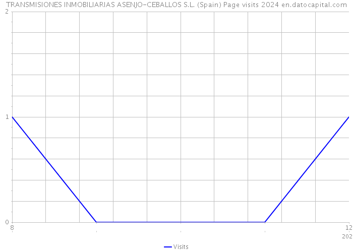 TRANSMISIONES INMOBILIARIAS ASENJO-CEBALLOS S.L. (Spain) Page visits 2024 