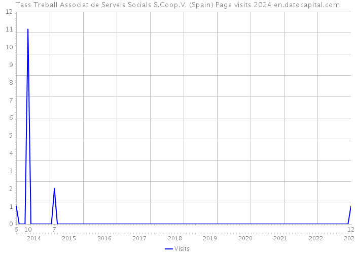 Tass Treball Associat de Serveis Socials S.Coop.V. (Spain) Page visits 2024 