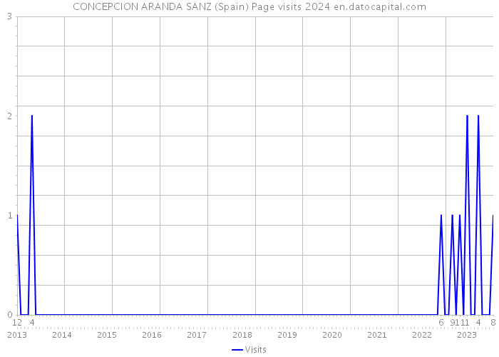 CONCEPCION ARANDA SANZ (Spain) Page visits 2024 