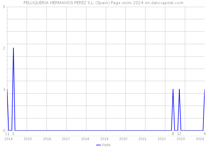 PELUQUERIA HERMANOS PEREZ S.L. (Spain) Page visits 2024 