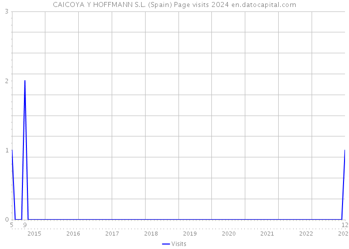 CAICOYA Y HOFFMANN S.L. (Spain) Page visits 2024 