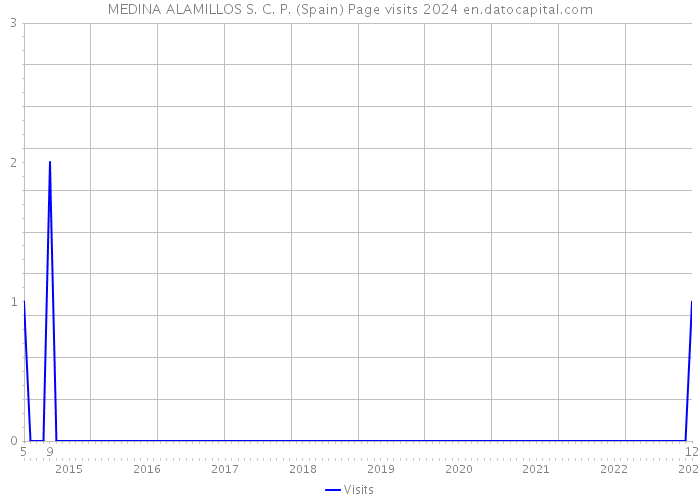 MEDINA ALAMILLOS S. C. P. (Spain) Page visits 2024 