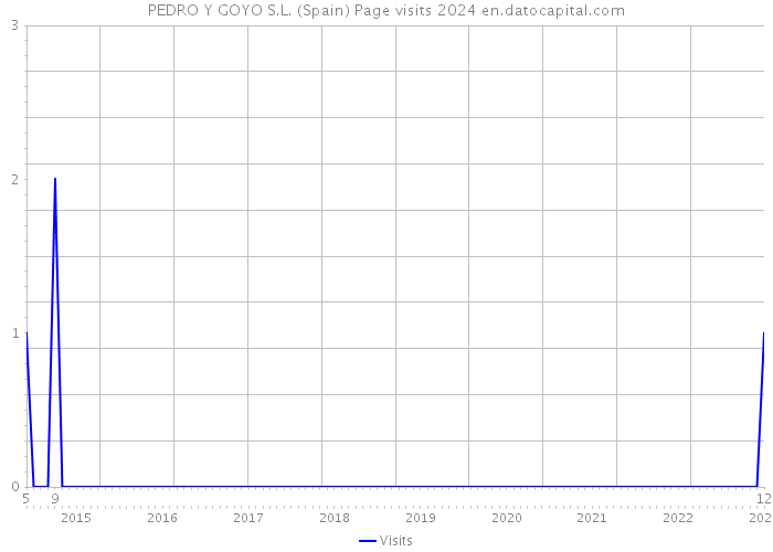 PEDRO Y GOYO S.L. (Spain) Page visits 2024 