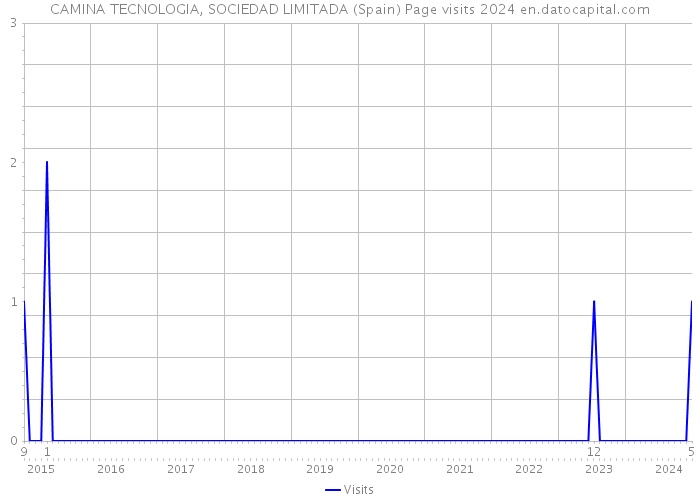 CAMINA TECNOLOGIA, SOCIEDAD LIMITADA (Spain) Page visits 2024 
