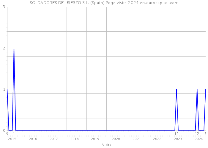 SOLDADORES DEL BIERZO S.L. (Spain) Page visits 2024 
