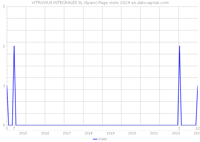 VITRUVIUS INTEGRALES SL (Spain) Page visits 2024 
