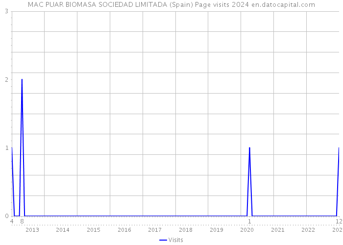 MAC PUAR BIOMASA SOCIEDAD LIMITADA (Spain) Page visits 2024 