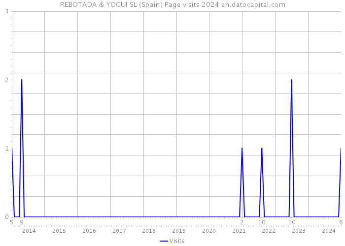 REBOTADA & YOGUI SL (Spain) Page visits 2024 