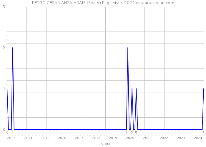 PEDRO CESAR ANSA ARAIZ (Spain) Page visits 2024 