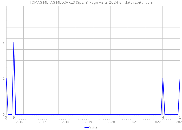 TOMAS MEJIAS MELGARES (Spain) Page visits 2024 