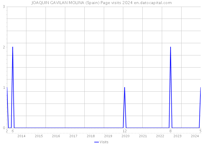 JOAQUIN GAVILAN MOLINA (Spain) Page visits 2024 