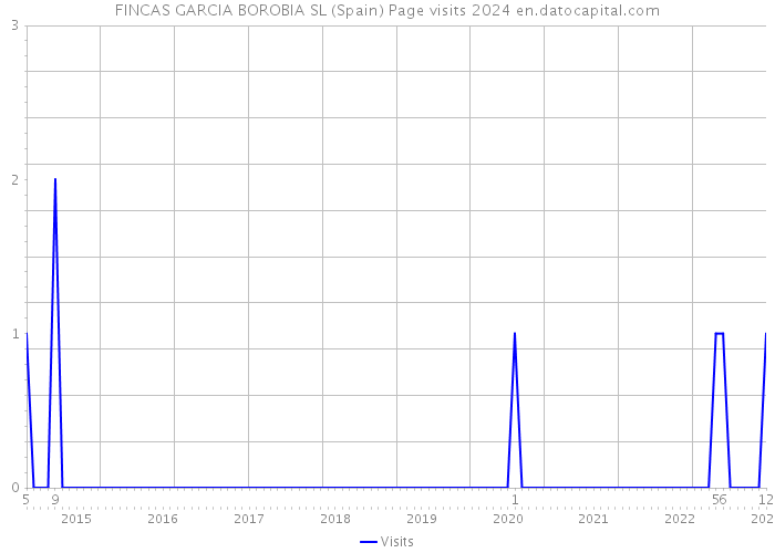 FINCAS GARCIA BOROBIA SL (Spain) Page visits 2024 