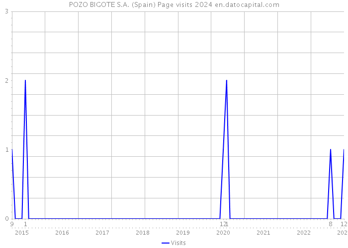 POZO BIGOTE S.A. (Spain) Page visits 2024 