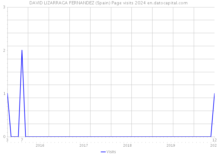 DAVID LIZARRAGA FERNANDEZ (Spain) Page visits 2024 