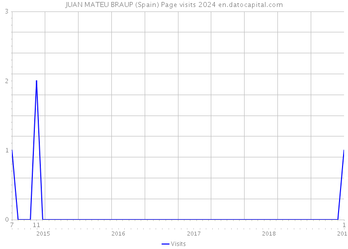 JUAN MATEU BRAUP (Spain) Page visits 2024 