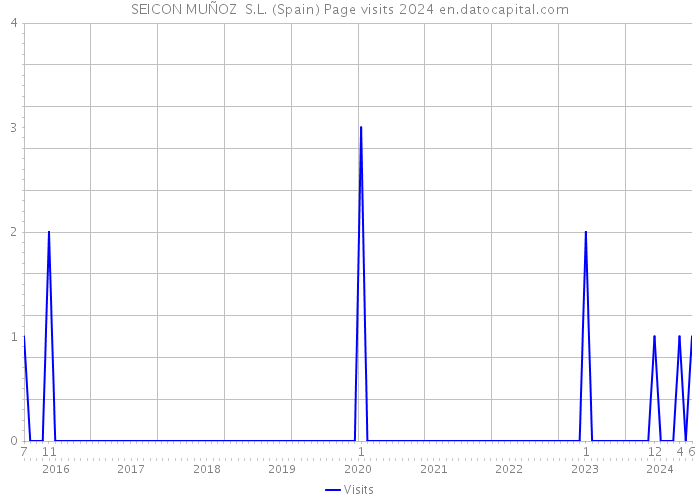 SEICON MUÑOZ S.L. (Spain) Page visits 2024 