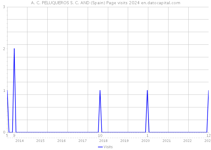 A. C. PELUQUEROS S. C. AND (Spain) Page visits 2024 