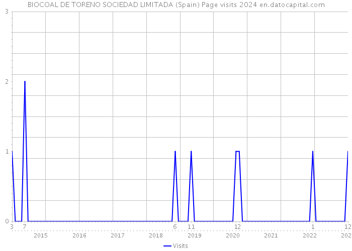 BIOCOAL DE TORENO SOCIEDAD LIMITADA (Spain) Page visits 2024 