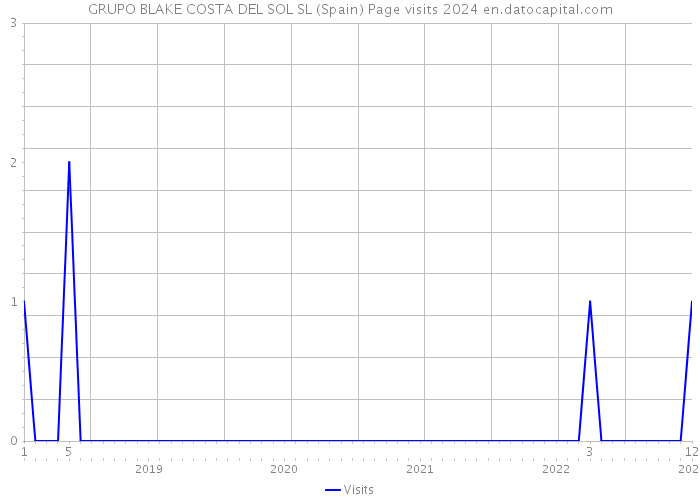 GRUPO BLAKE COSTA DEL SOL SL (Spain) Page visits 2024 
