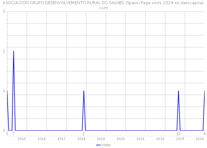 ASOCIACION GRUPO DESENVOLVEMENTO RURAL DO SALNES (Spain) Page visits 2024 