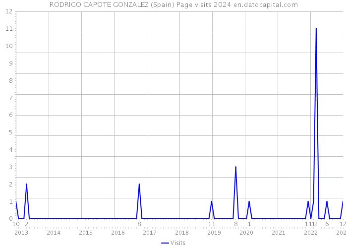 RODRIGO CAPOTE GONZALEZ (Spain) Page visits 2024 