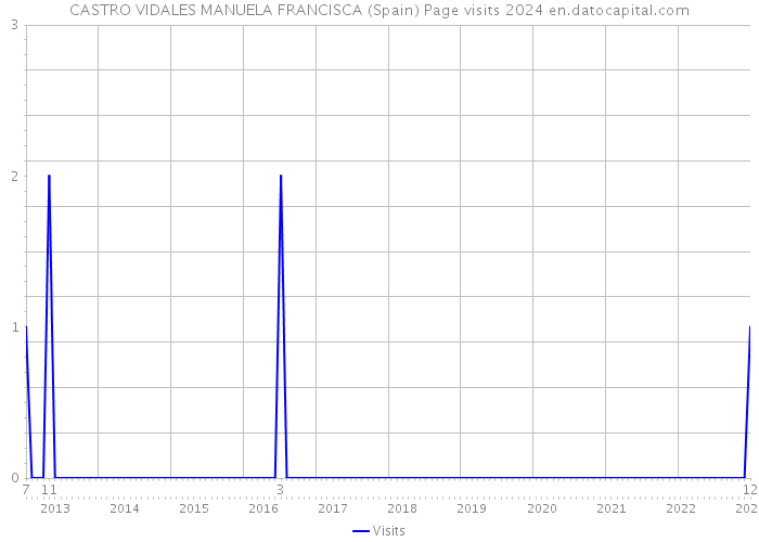 CASTRO VIDALES MANUELA FRANCISCA (Spain) Page visits 2024 