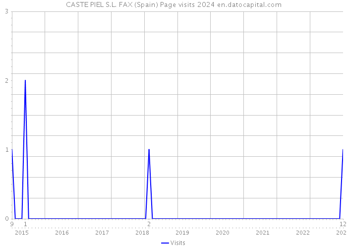 CASTE PIEL S.L. FAX (Spain) Page visits 2024 