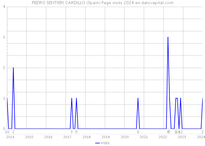 PEDRO SENTIERI CARDILLO (Spain) Page visits 2024 