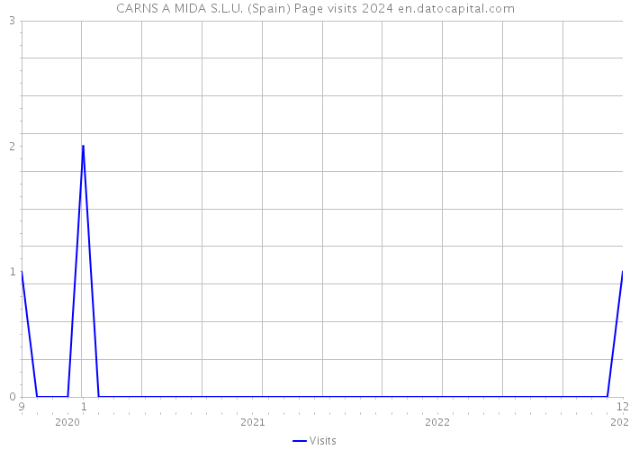 CARNS A MIDA S.L.U. (Spain) Page visits 2024 