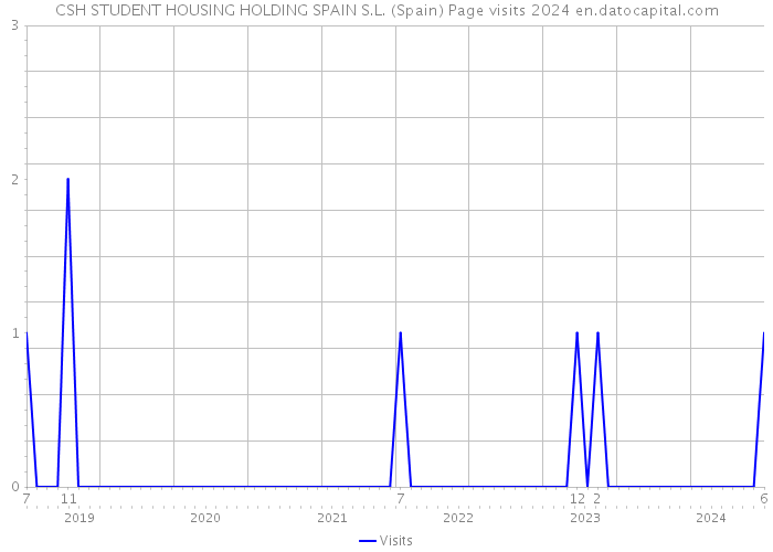 CSH STUDENT HOUSING HOLDING SPAIN S.L. (Spain) Page visits 2024 