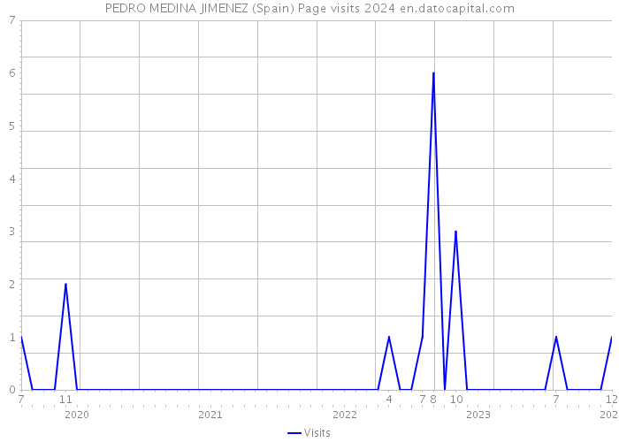 PEDRO MEDINA JIMENEZ (Spain) Page visits 2024 
