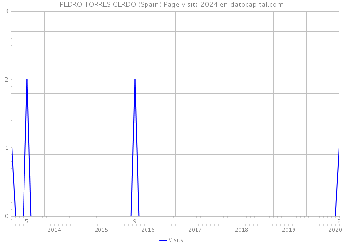 PEDRO TORRES CERDO (Spain) Page visits 2024 