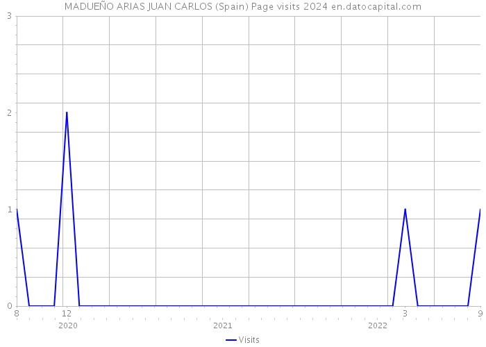 MADUEÑO ARIAS JUAN CARLOS (Spain) Page visits 2024 