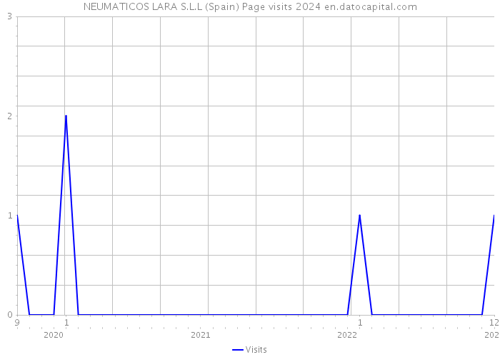 NEUMATICOS LARA S.L.L (Spain) Page visits 2024 