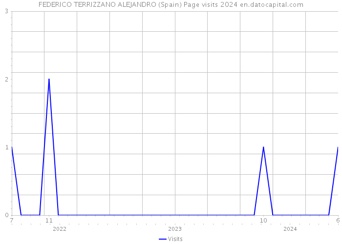 FEDERICO TERRIZZANO ALEJANDRO (Spain) Page visits 2024 