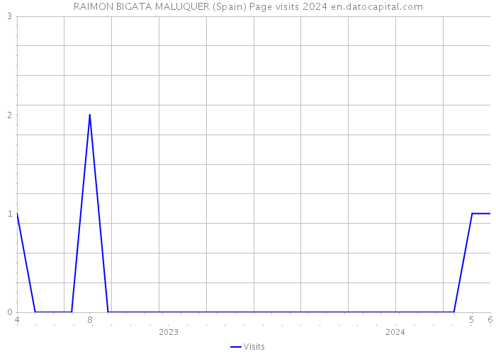 RAIMON BIGATA MALUQUER (Spain) Page visits 2024 