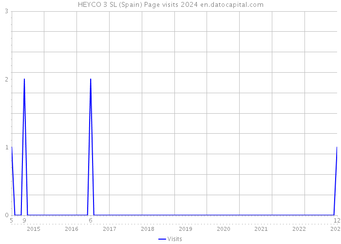 HEYCO 3 SL (Spain) Page visits 2024 
