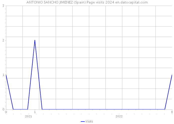 ANTONIO SANCHO JIMENEZ (Spain) Page visits 2024 
