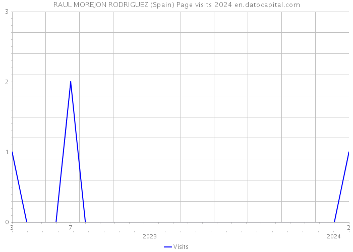 RAUL MOREJON RODRIGUEZ (Spain) Page visits 2024 