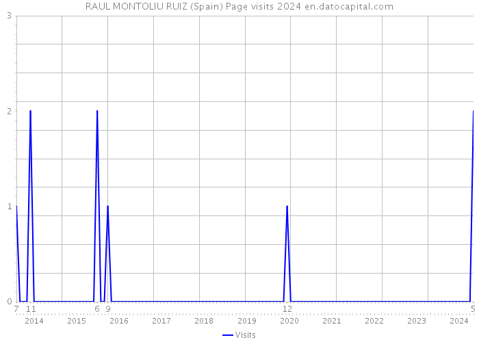 RAUL MONTOLIU RUIZ (Spain) Page visits 2024 
