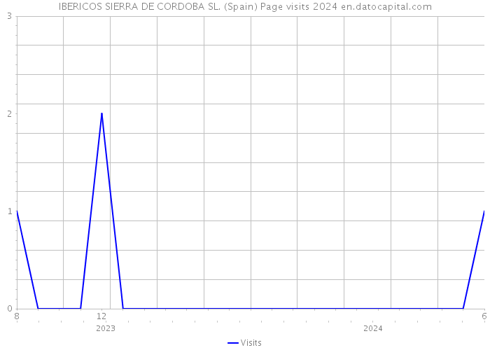 IBERICOS SIERRA DE CORDOBA SL. (Spain) Page visits 2024 