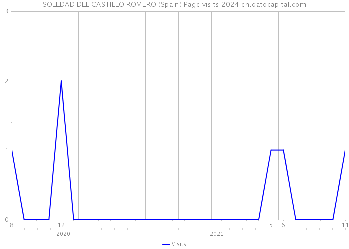 SOLEDAD DEL CASTILLO ROMERO (Spain) Page visits 2024 