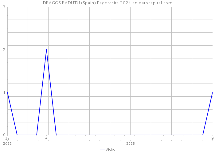 DRAGOS RADUTU (Spain) Page visits 2024 